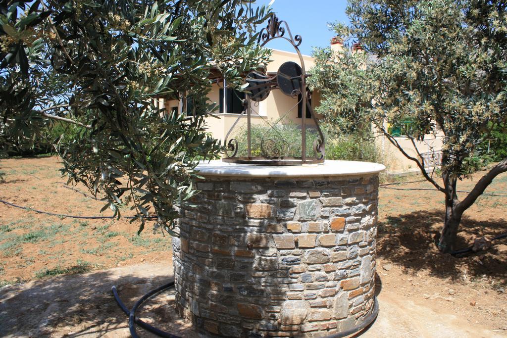 Naxos Cottage Kato Sangrion Room photo