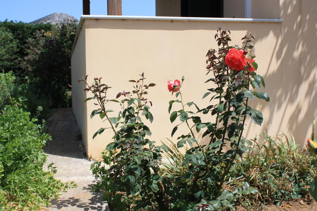 Naxos Cottage Kato Sangrion Room photo