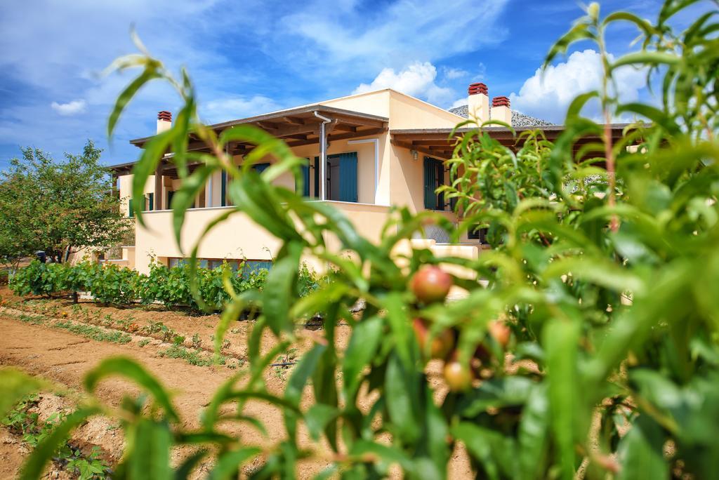 Naxos Cottage Kato Sangrion Exterior photo
